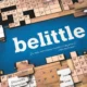 Belittle Crossword Clue