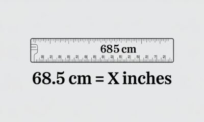 68.5 cm to inches